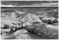 Broken logs of petrified wood at sunset, Crystal Forest. Petrified Forest National Park ( black and white)