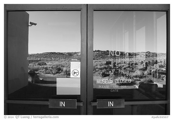 Giant Logs, Rainbow Forest Museum  window reflexion. Petrified Forest National Park (black and white)