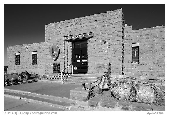 Rainbow Forest Museum. Petrified Forest National Park (black and white)