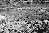 Badlands and petrified wood, Jasper Forest. Petrified Forest National Park ( black and white)