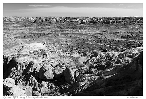 Valley covered with petrified wood, Jasper Forest. Petrified Forest National Park (black and white)