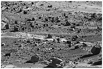 Petrified wood, Jasper Forest. Petrified Forest National Park ( black and white)