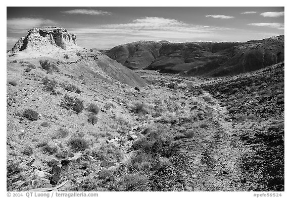 Trail, Painted Desert. Petrified Forest National Park (black and white)