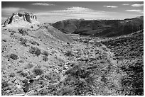 Trail, Painted Desert. Petrified Forest National Park ( black and white)
