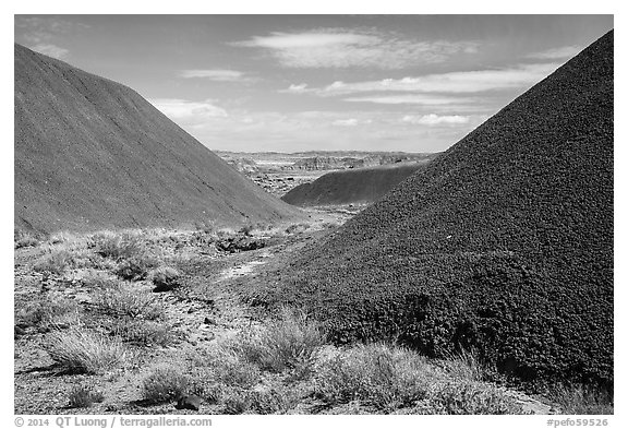 Badland hills brilliantly colored by iron oxides. Petrified Forest National Park (black and white)