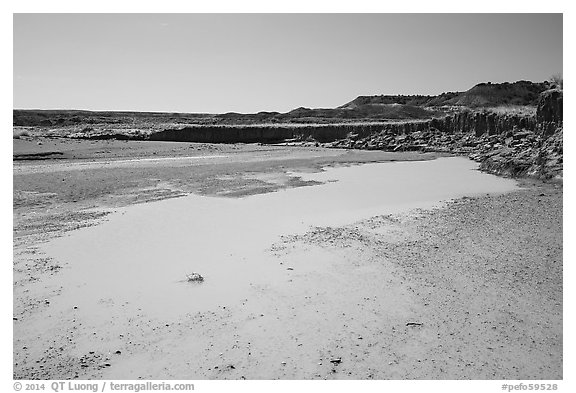 Water in Lithodendron Wash. Petrified Forest National Park (black and white)