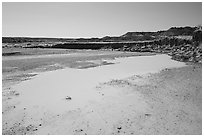 Water in Lithodendron Wash. Petrified Forest National Park ( black and white)