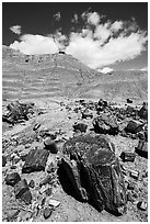 Black petrified wood and red Painted Desert badlands. Petrified Forest National Park ( black and white)