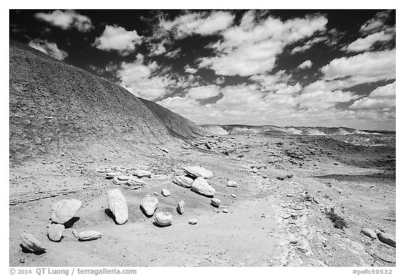 Concretions, Painted Desert badlands. Petrified Forest National Park (black and white)