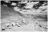 Concretions, Painted Desert badlands. Petrified Forest National Park ( black and white)