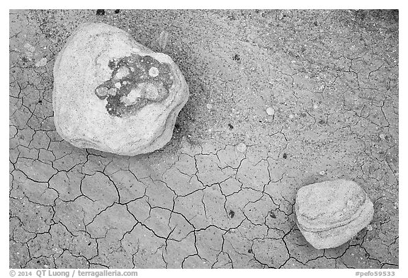 Ground view with concretions and red cracked mud. Petrified Forest National Park (black and white)