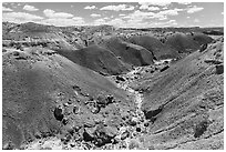 Gully in red badlands filled with petrified wood. Petrified Forest National Park ( black and white)