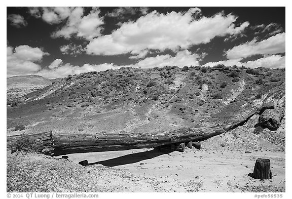 Onyx Bridge. Petrified Forest National Park (black and white)