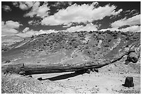 Onyx Bridge. Petrified Forest National Park ( black and white)