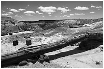 Onyx Bridge, petrified log spanning arroyo. Petrified Forest National Park ( black and white)