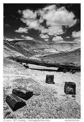 Black petrified wood and Onyx Bridge. Petrified Forest National Park (black and white)