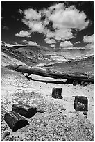 Black petrified wood and Onyx Bridge. Petrified Forest National Park ( black and white)