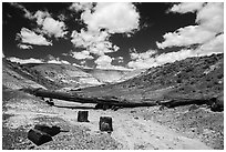 Black petrified wood, Onyx Bridge, Painted Desert. Petrified Forest National Park ( black and white)