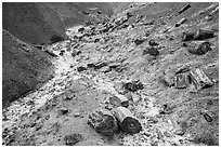 Petrified logs and iron oxide colored badlands. Petrified Forest National Park ( black and white)