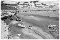 Lithodendron Wash, Black Forest Wilderness. Petrified Forest National Park ( black and white)