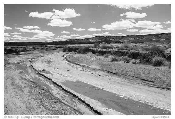 Dry desert wash. Petrified Forest National Park (black and white)