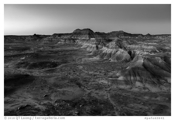 Puerco Ridge, dusk. Petrified Forest National Park (black and white)