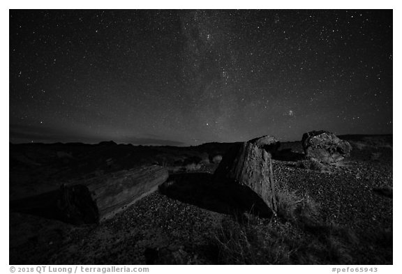 Petrified logs and stars. Petrified Forest National Park (black and white)