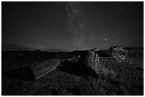 Petrified logs and stars. Petrified Forest National Park ( black and white)