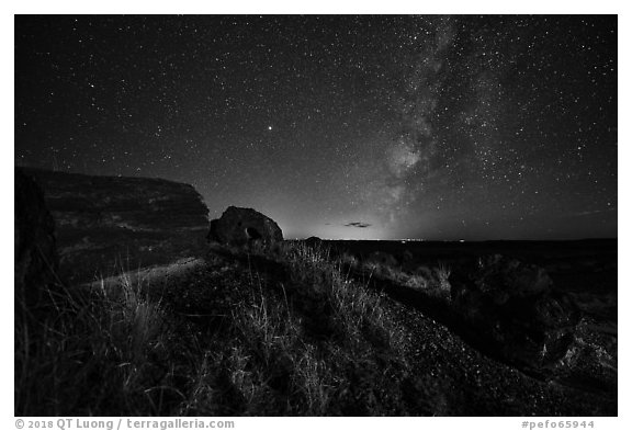 Petrified logs and Milky Way. Petrified Forest National Park (black and white)