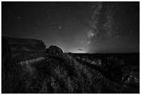 Petrified logs and Milky Way. Petrified Forest National Park ( black and white)