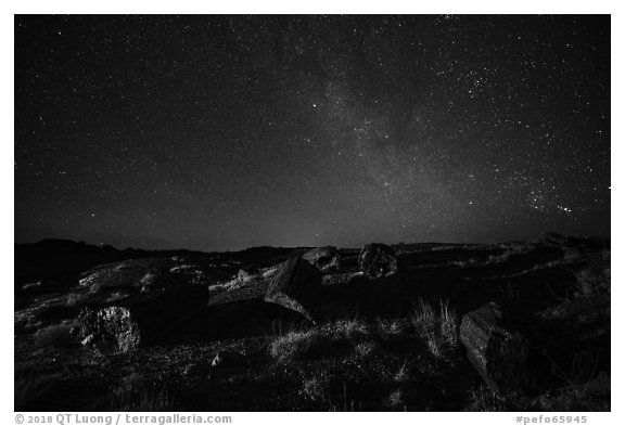 Petrified logs and stary sky at night. Petrified Forest National Park (black and white)