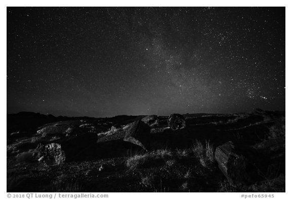 Petrified logs and stary sky at night. Petrified Forest National Park (black and white)