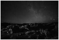 Petrified logs and stary sky at night. Petrified Forest National Park ( black and white)