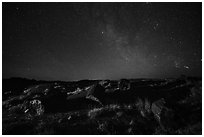 Petrified logs and stary sky at night. Petrified Forest National Park ( black and white)