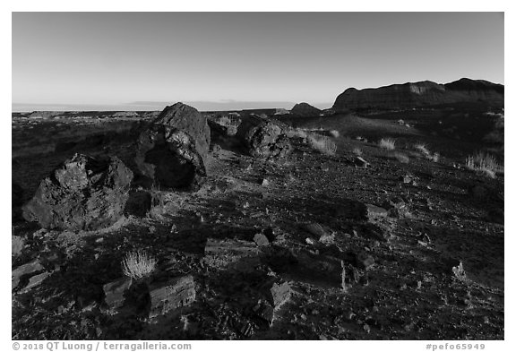 Petrified wood and badlands at sunrise, Longs Logs. Petrified Forest National Park (black and white)