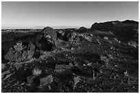 Petrified wood and badlands at sunrise, Longs Logs. Petrified Forest National Park ( black and white)