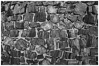 Wall detail, Agate House. Petrified Forest National Park ( black and white)