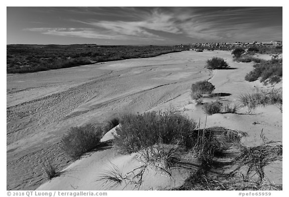 Jim Camp Wash. Petrified Forest National Park (black and white)