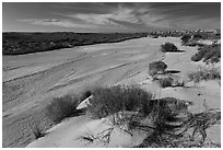 Jim Camp Wash. Petrified Forest National Park ( black and white)