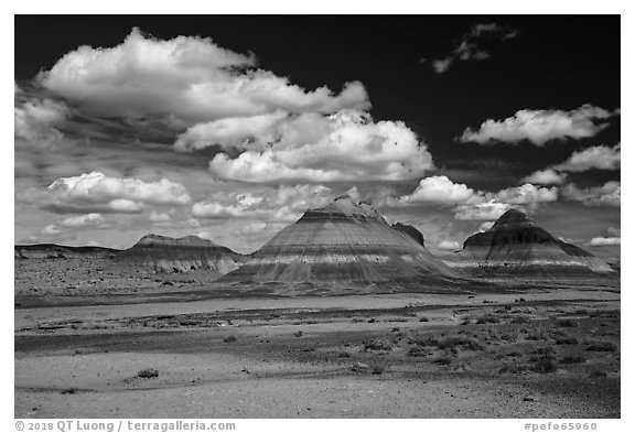 The Tepees and clouds. Petrified Forest National Park (black and white)