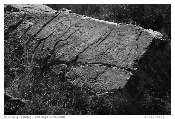 Petroglyphs, Puerco Pueblo. Petrified Forest National Park (black and white)