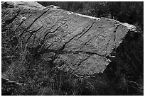 Petroglyphs, Puerco Pueblo. Petrified Forest National Park ( black and white)