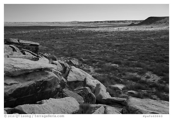 Petroglyphs on rocks overlooking plain, Puerco Pueblo. Petrified Forest National Park (black and white)