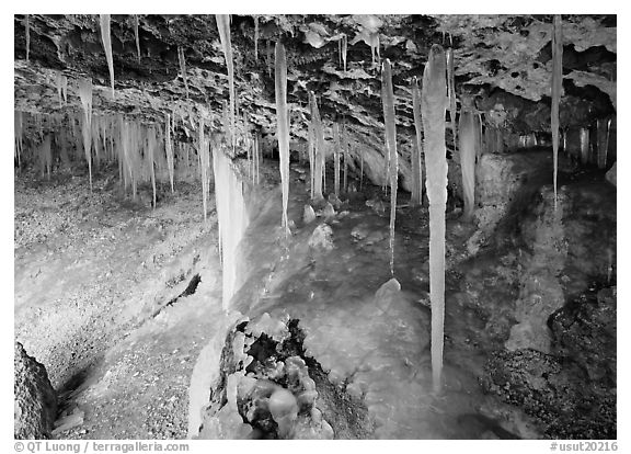 Frozen stalactites in Mossy Cave. Bryce Canyon National Park (black and white)