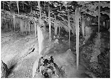 Frozen stalactites in Mossy Cave. Bryce Canyon National Park ( black and white)