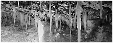 Ice stalactites under overhang. Bryce Canyon National Park (Panoramic black and white)