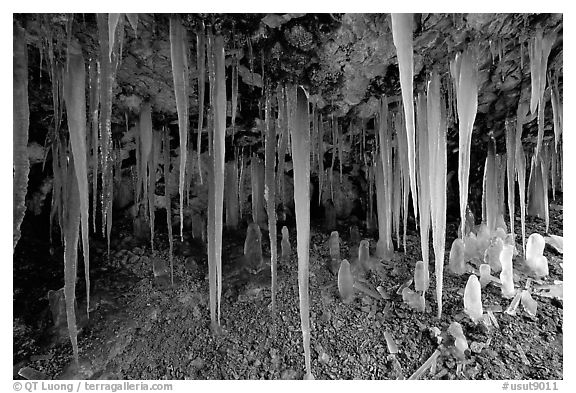 Icicles in Mossy Cave. Bryce Canyon National Park (black and white)