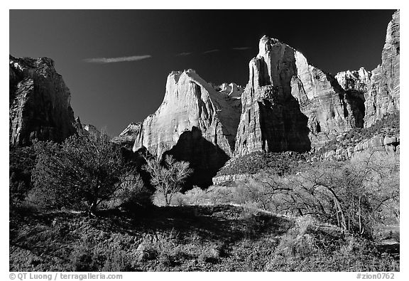 Court of the Patriarchs sandstone towers, morning. Zion National Park, Utah, USA.