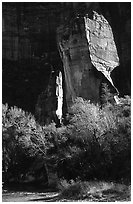 The Pulpit, Zion Canyon. Zion National Park, Utah, USA. (black and white)