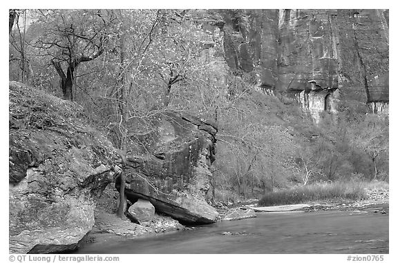 Virgin river at  entrance of the Narrows. Zion National Park (black and white)